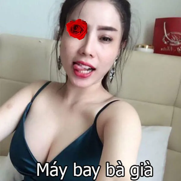 Máy bay bà già Trâm Anh – Tìm phi công trẻ không ràng buộc 2 May bay ba gia Tram Anh 1