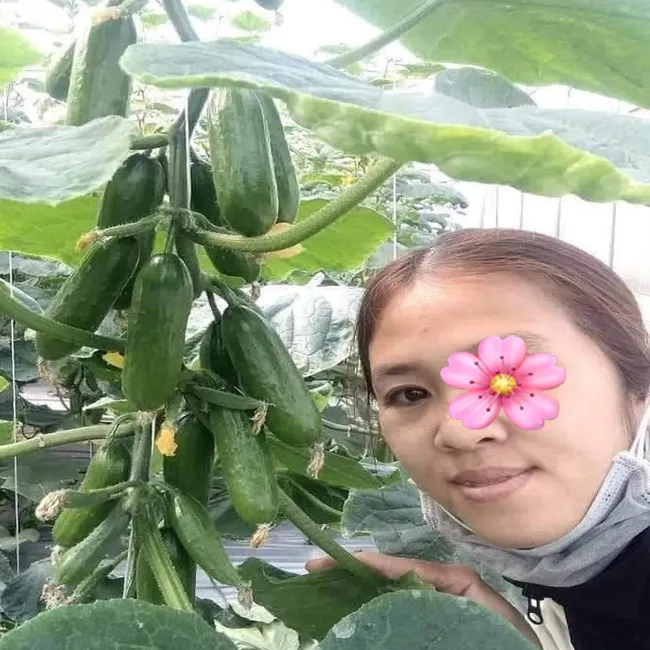 Vân Thúy – Máy bay bà già Huyện Thạch Phú độc thân cần tình trẻ 2 van thuy chi gai doc than can tinh tre 1